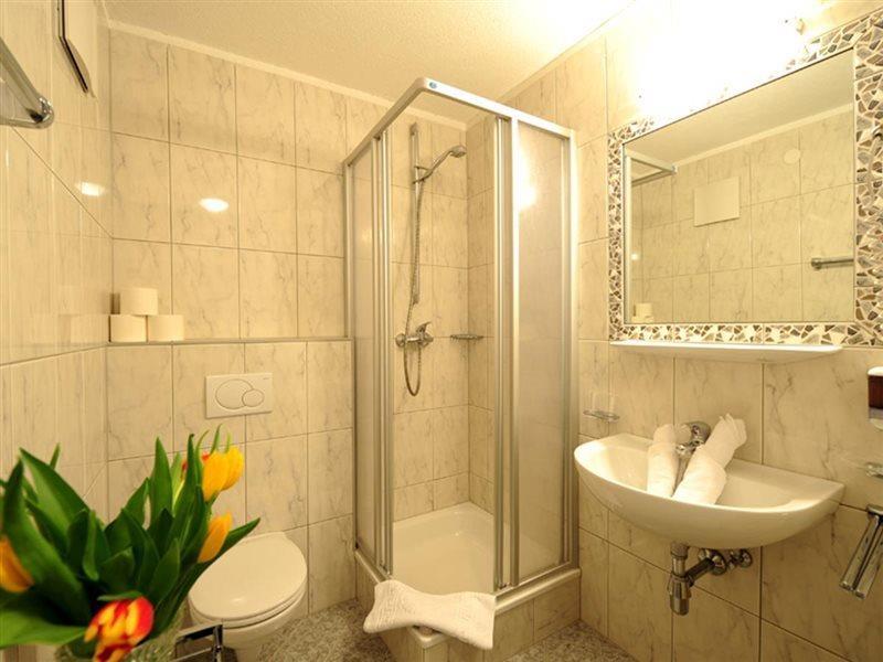 Traube Hotel 3*